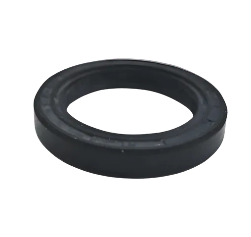 Seal Ring - 0666226100